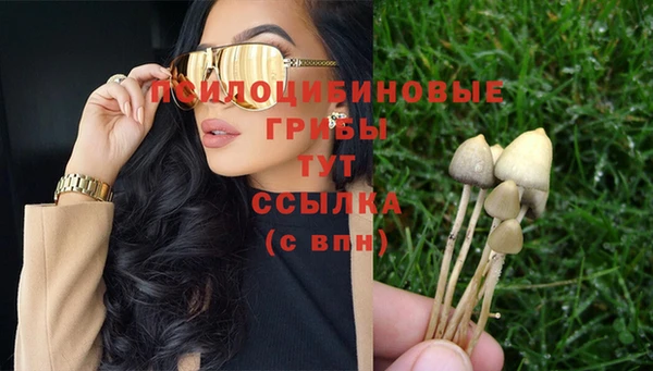 бошки Алзамай