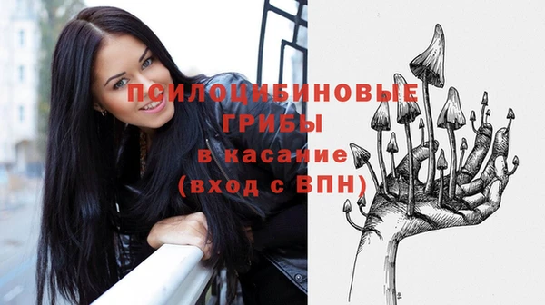бошки Алзамай