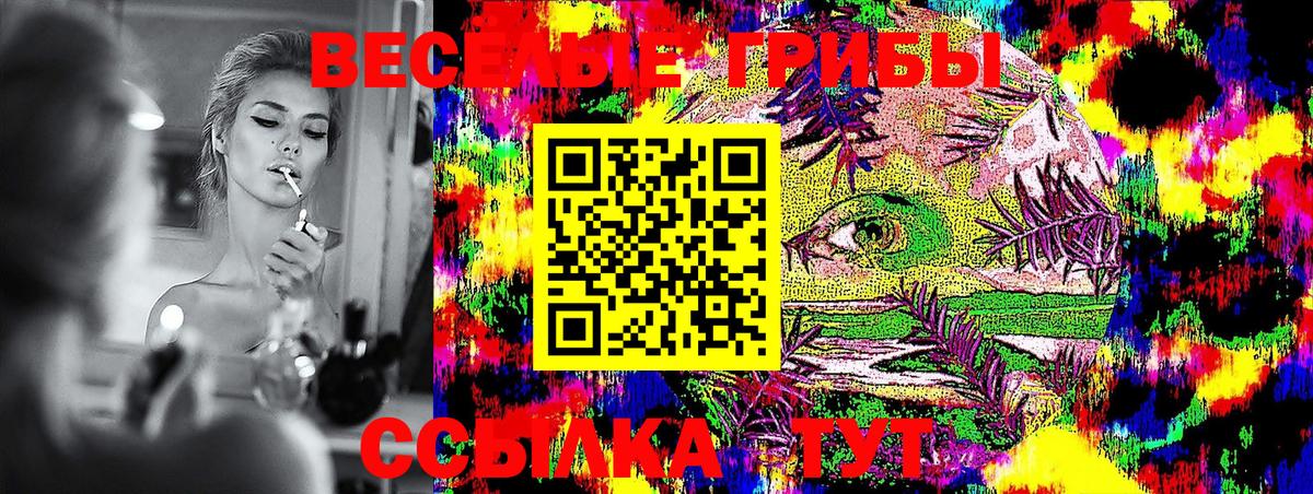 Галлюциногенные грибы Psilocybine cubensis Ржев