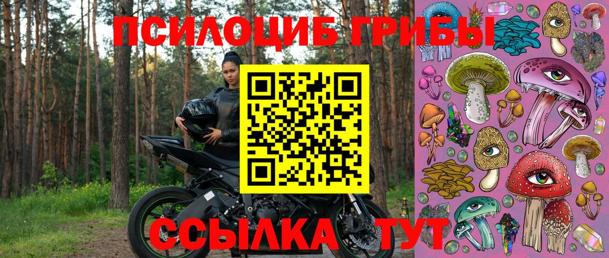 Псилоцибиновые грибы Psilocybine cubensis  Галлюциногенные грибы мицелий  Ржев  Вход с VPN 