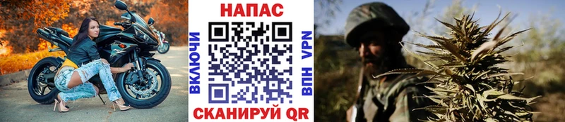 закладка Ржев ОМГ ОМГ сайт Бошки марихуана тримм